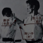 Fundamental technical concepts of old style karate